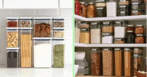 Mejor contenedor de Alimentos