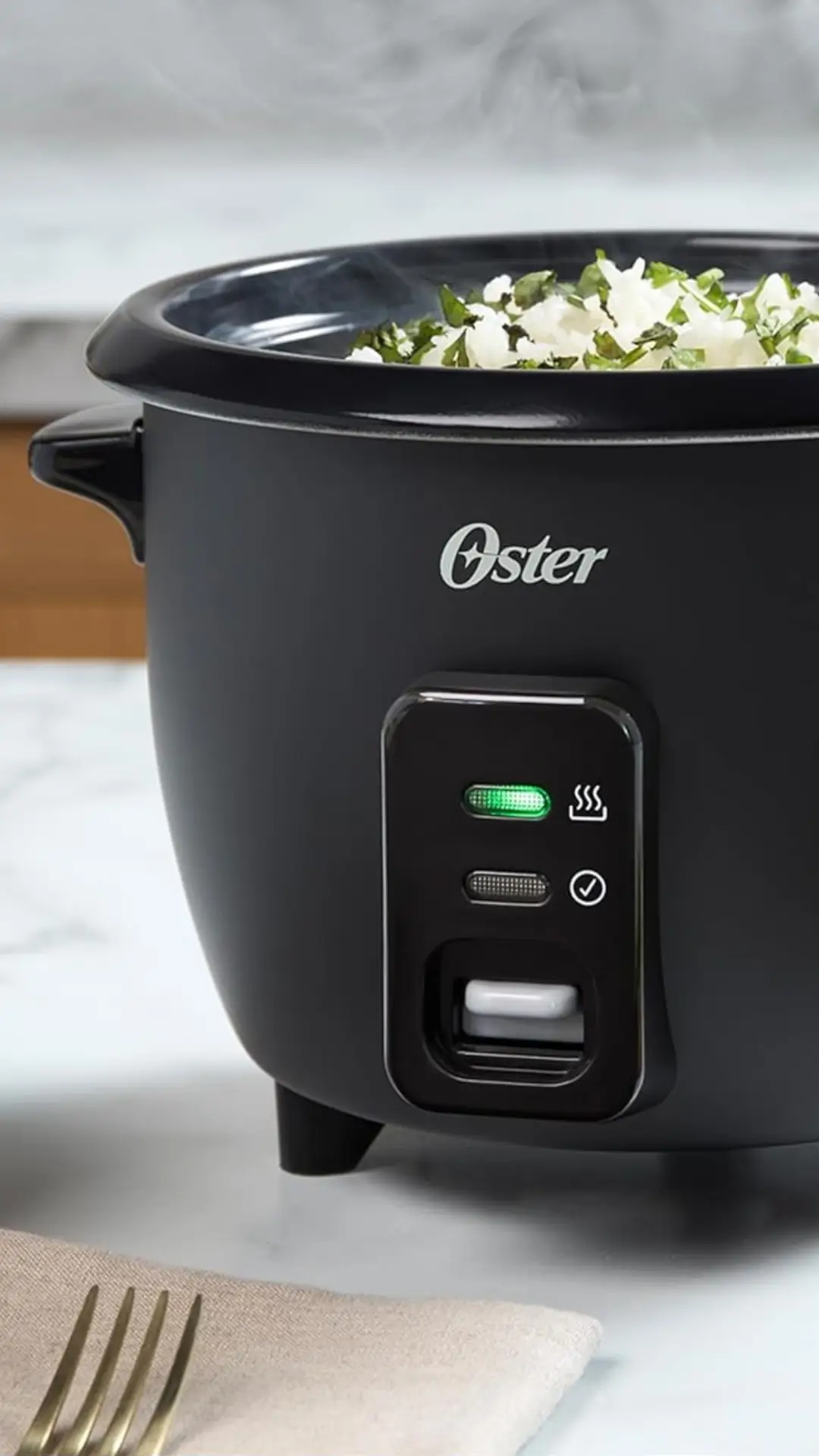 Olla Arrocera Oster 1