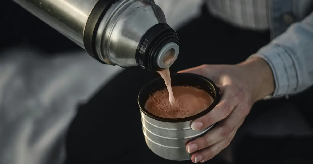 Mejores Marcas de Termos