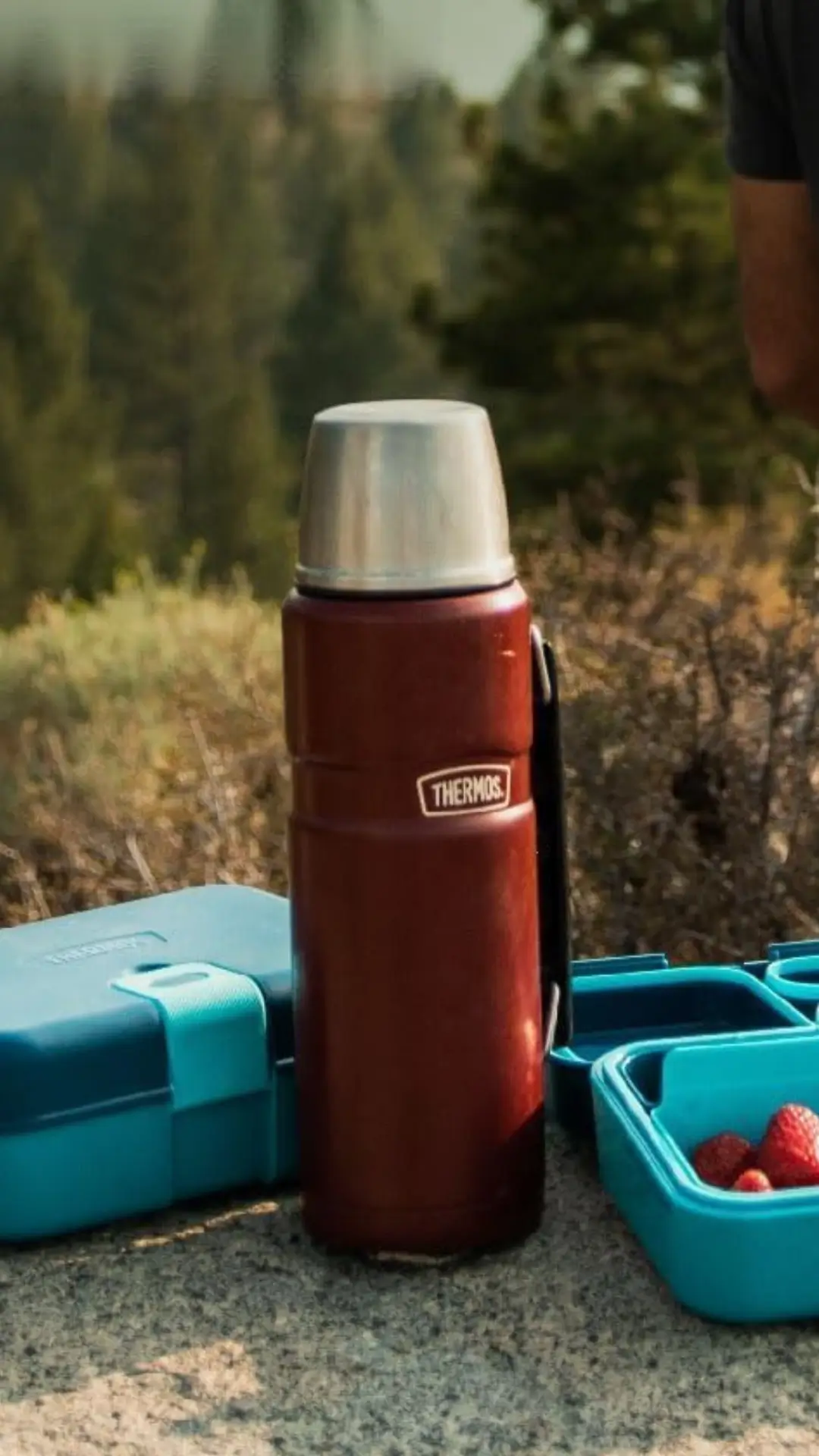 Thermos Stainless King Rojo