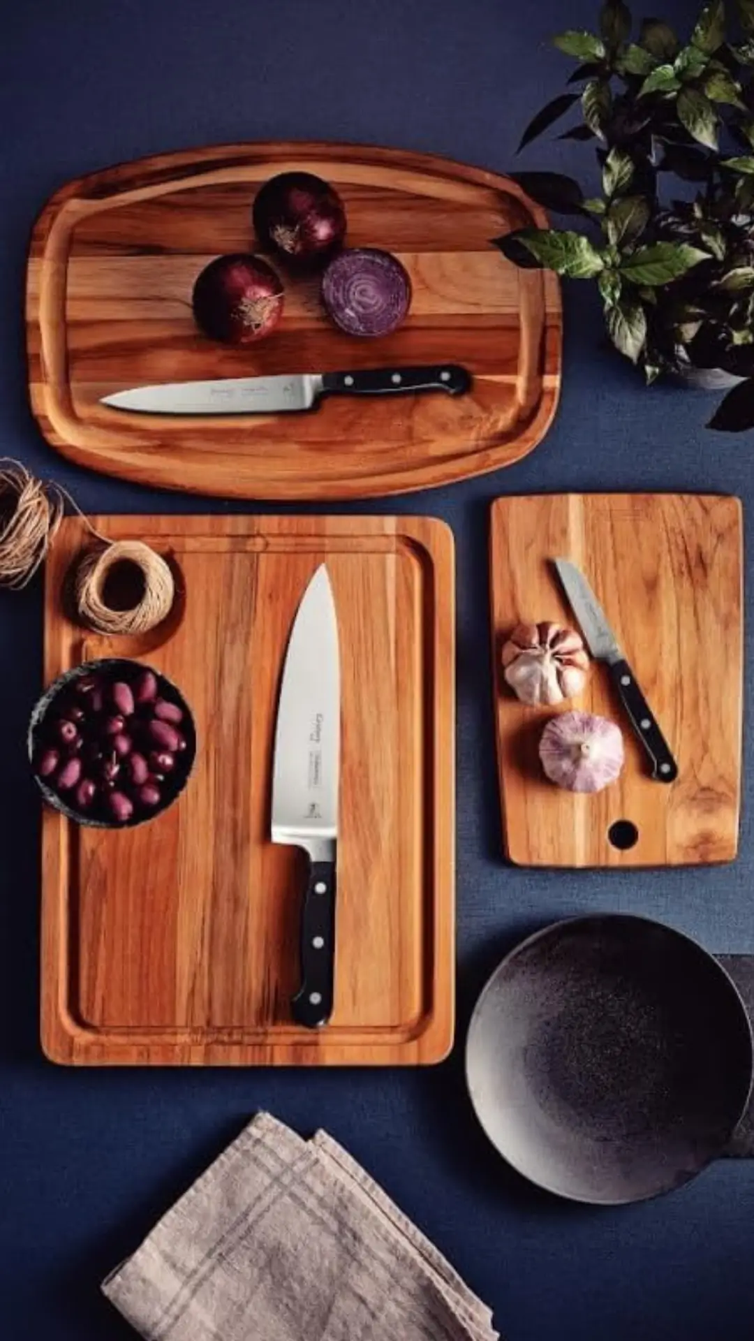 Cuchillos de Cocina Profesionales